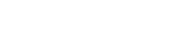 活動内容　超スマート社会の安全基盤を支えるソフトエラー対策